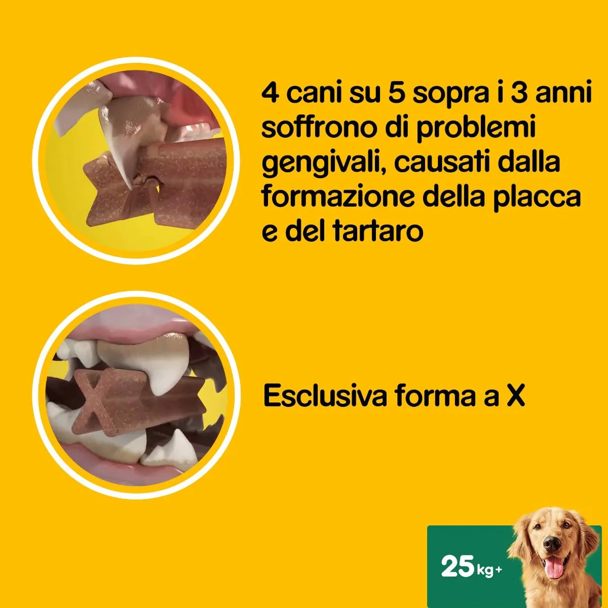 Pedigree Dentastix Fresh Large 21pz – Cani di Taglia oltre 25kg Pedigree Dentastix Fresh Large 21pz – Cani di Taglia oltre 25kg